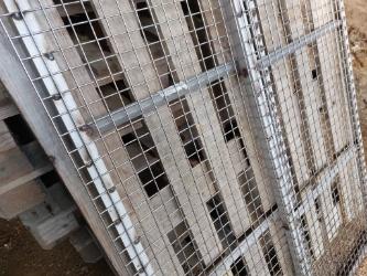 Multiva Siemenverkot