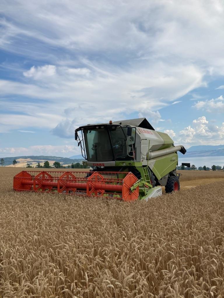 CLAAS 430 tucano Mejetærskere
