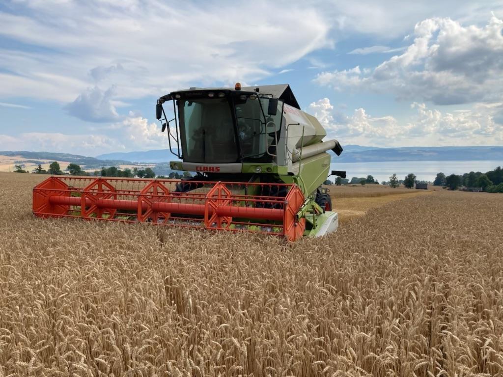 CLAAS 430 tucano Mejetærskere