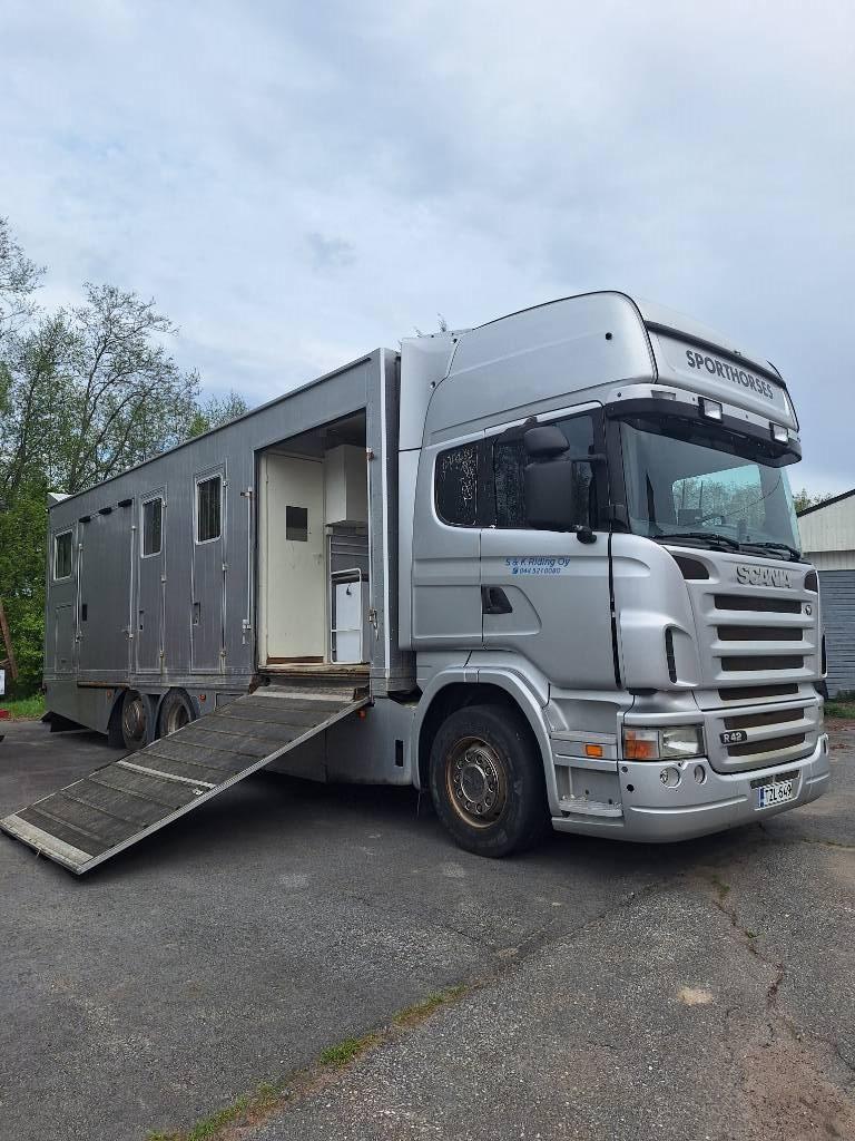 Scania R 420 Animal transport trucks