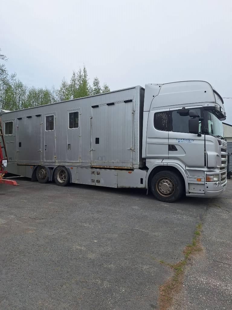 Scania R 420 Animal transport trucks