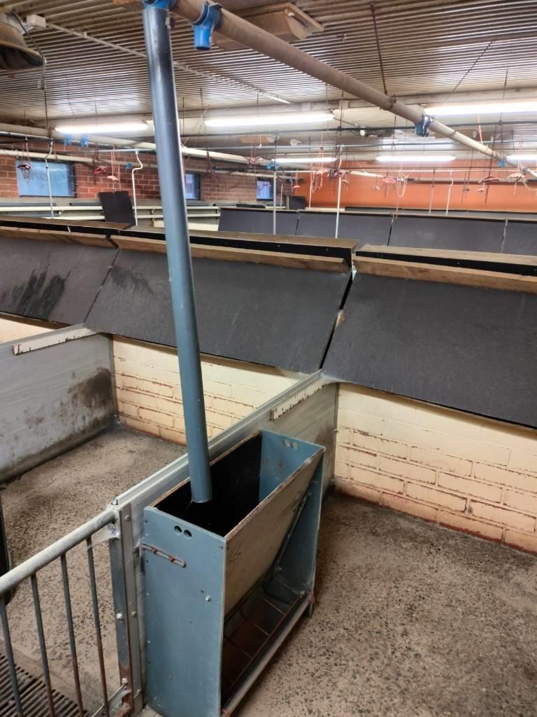 Pellon kuivaruokkija Fütterungsautomaten