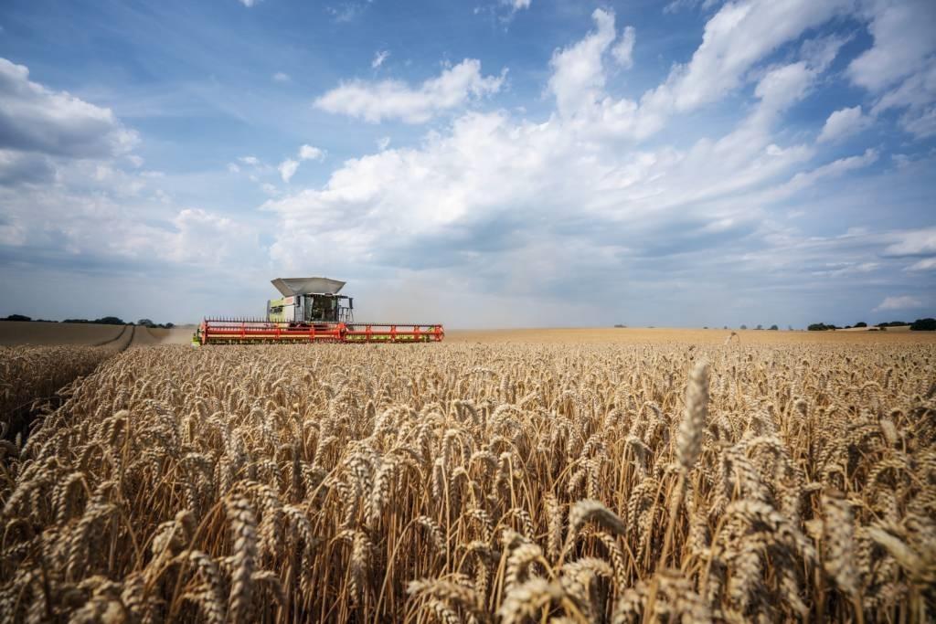 CLAAS Convio 930 Accessori per mietitrebbiatrici