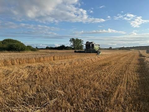 Fendt 6335 C Combine harvesters