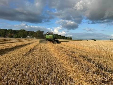 Fendt 6335 C Combine harvesters
