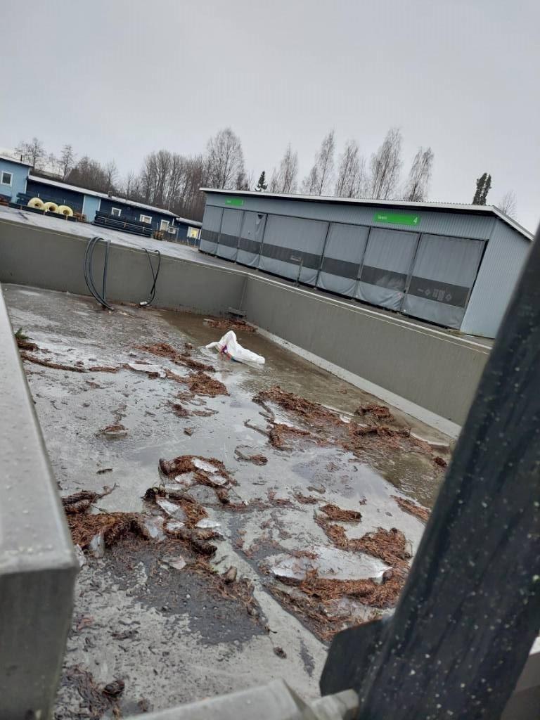 PellonPecco MSL 12000 Rimorchi ribaltabili