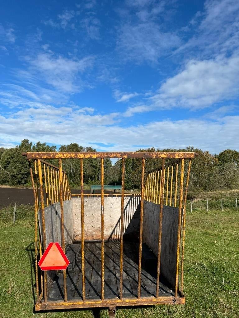 Moheda BALVAGN Balvagnar