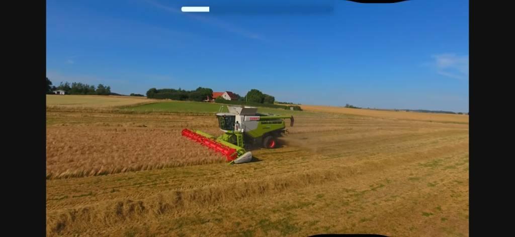 CLAAS Lexion 780 TT Mietitrebbiatrici