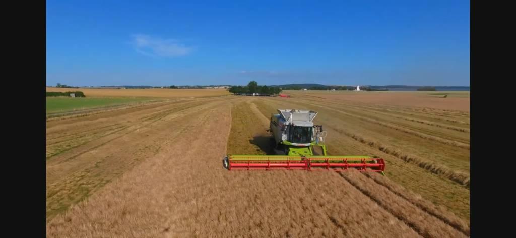 CLAAS Lexion 780 TT Mietitrebbiatrici