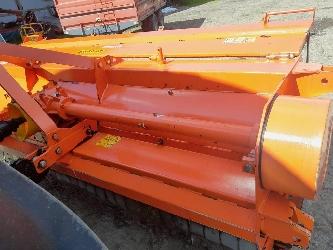 Maschio