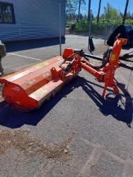 Maschio Giraffa