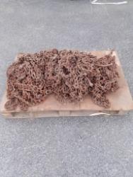 Jääketjut 650/65-38 + 540/65-28