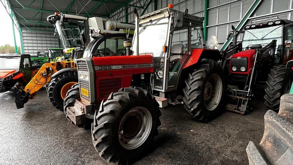 Massey Ferguson 365-4 TURBO Traktoren