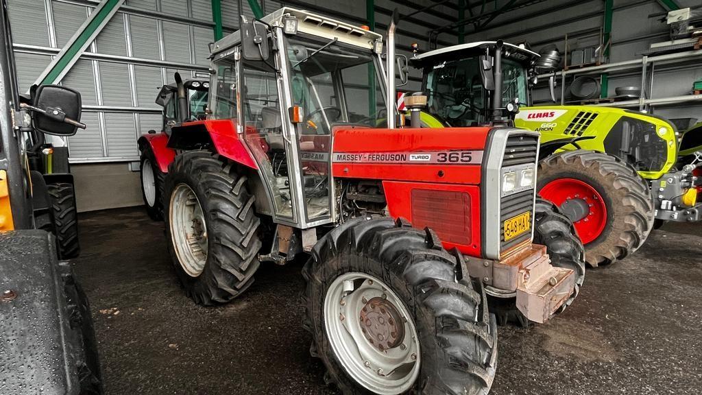 Massey Ferguson 365-4 TURBO Traktoren
