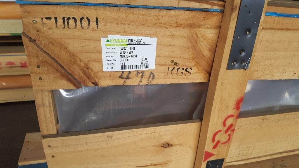 Hyundai Boom Cylinder RH - Robex 450 LC-7, 31NB-50231 Hydraulics