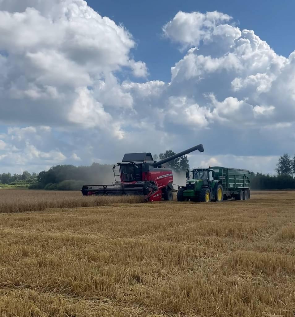 Massey Ferguson 7345 Activa Combine harvesters