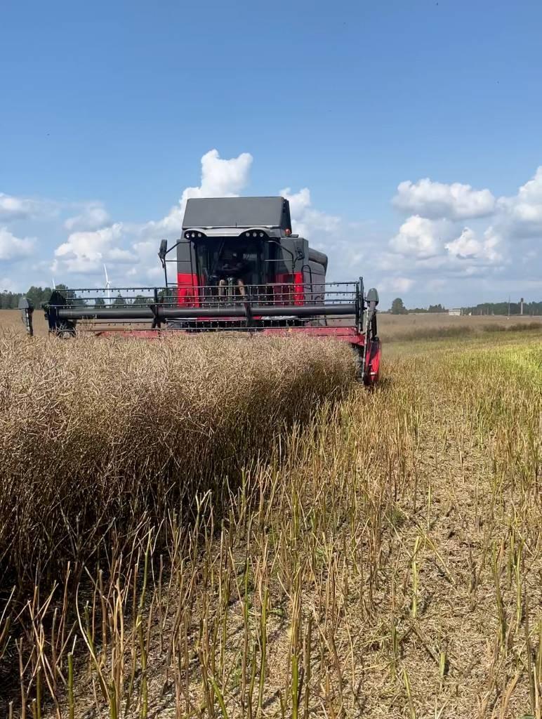 Massey Ferguson 7345 Activa Combine harvesters