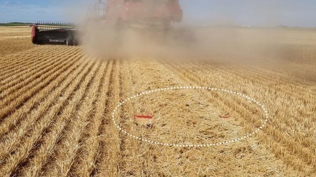 Bushel Plus SPILDBAKKE SYSTEM 40" - 1,0 m Sonstige Landmaschinen